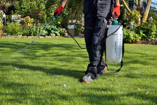 A man applying a sprayer to a lawn, showcasing professional gardening services in action