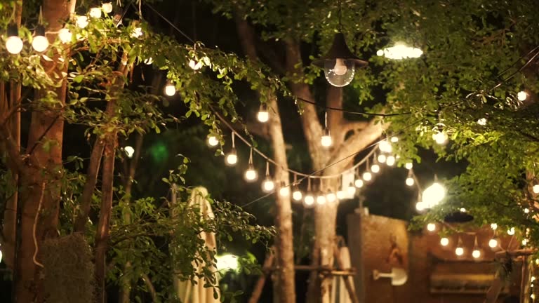 A beautifully lit garden with lights strung between trees, showcasing the elegance of landscape lighting services.