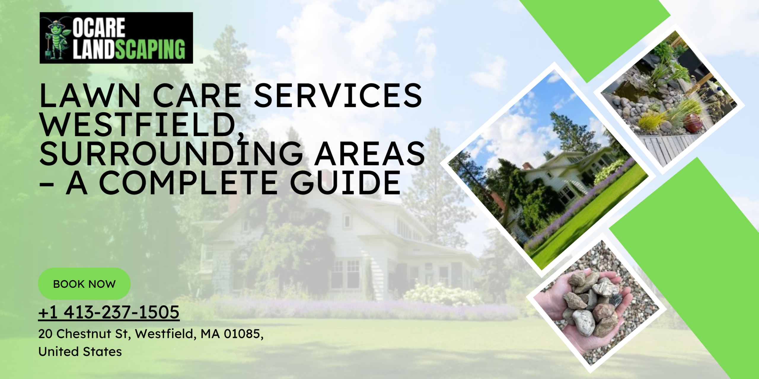 Healthy green lawn maintained with professional lawn care services